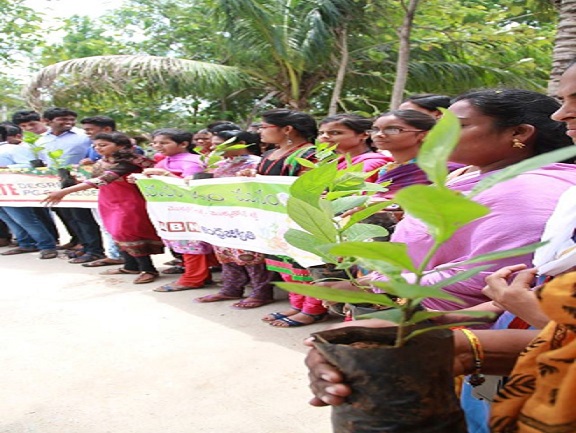 Tree Plantation Drive by GATE College NSS